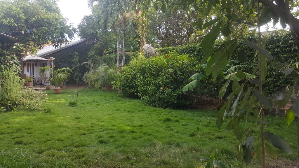 Hostal El Jardin เลออน ภายนอก รูปภาพ